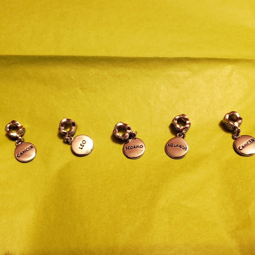 Pandora like astrological sign charm